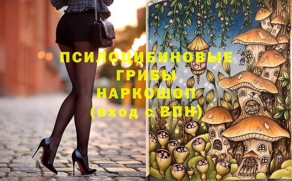 не бодяженный Новодвинск