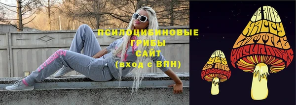 первитин Нягань