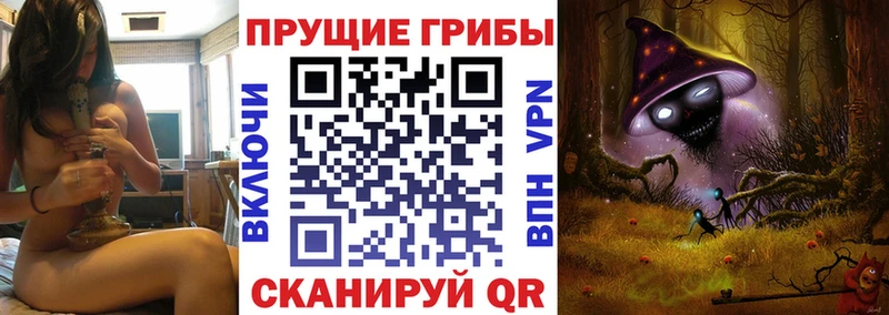 Галлюциногенные грибы Psilocybe  Камешково 