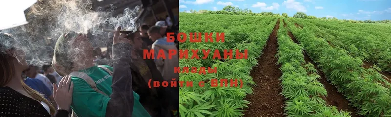 Канабис THC 21%  дарнет шоп  ОМГ ОМГ зеркало  Камешково 